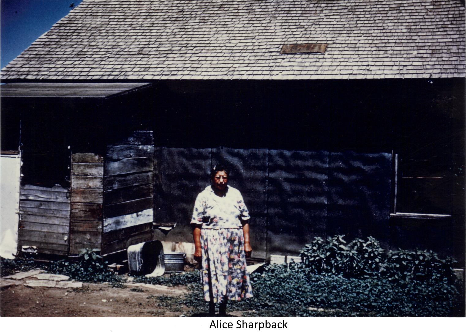 Hogsback Alice Historic images of church